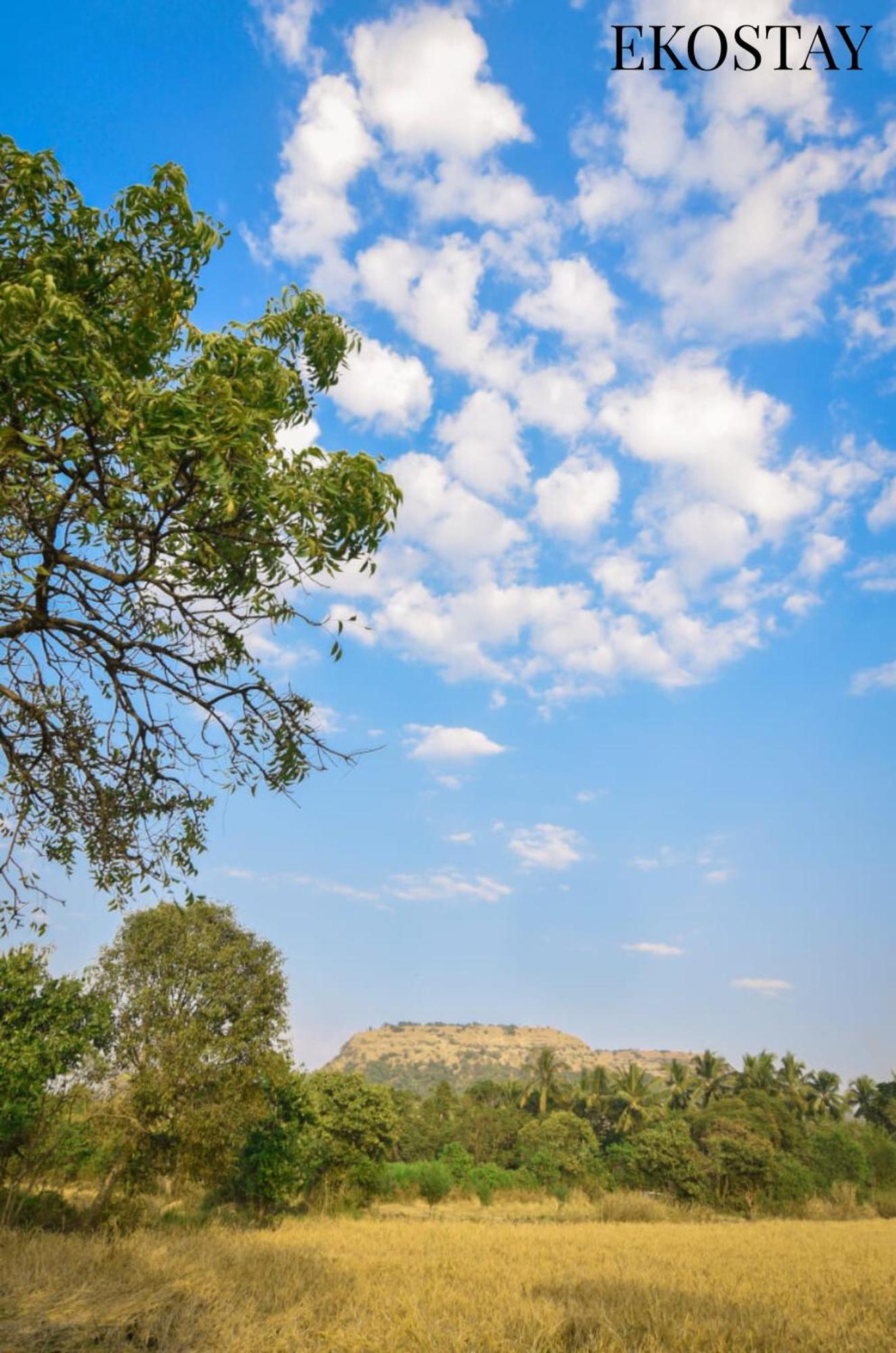 Ekostay - Pinewood Villa آليباغ المظهر الخارجي الصورة